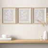 3-piece Framed Glass Wall Art Set